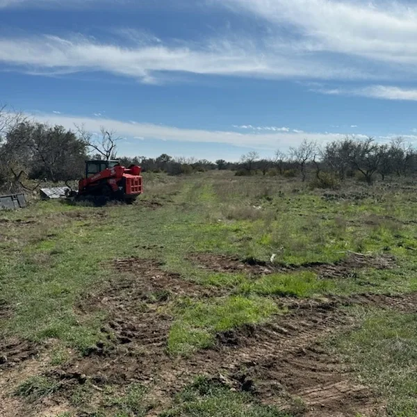 Land clearing cleanup