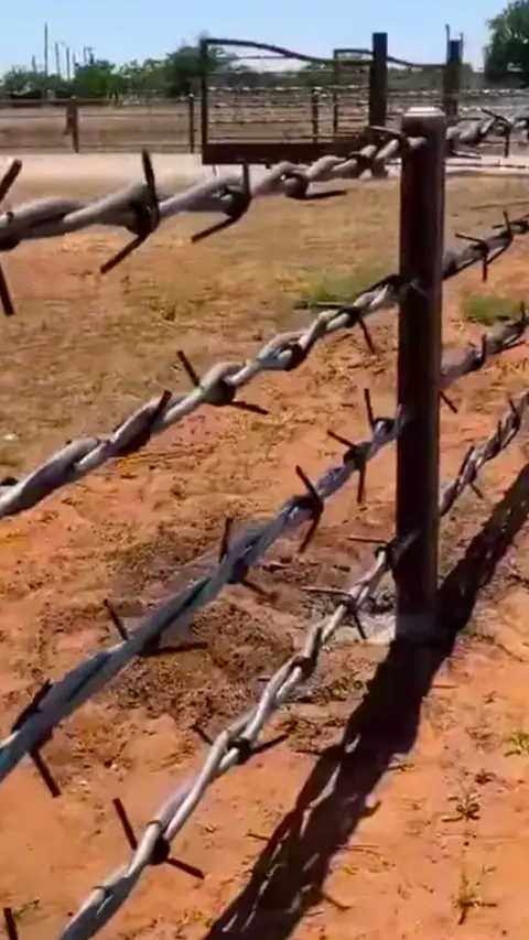 Barbed wire fencing