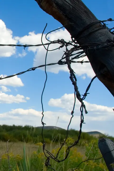 Broken barbed wire