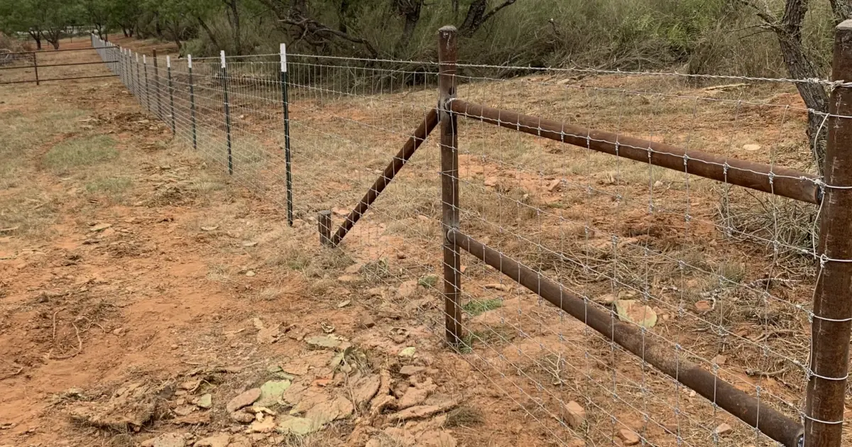 Cattle fencing blog og