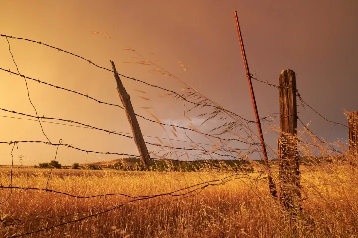 Damaged fencing summer