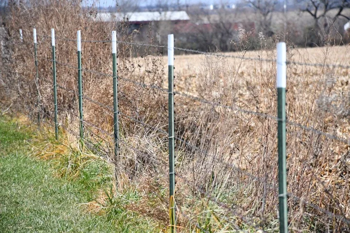 Fence with weeds