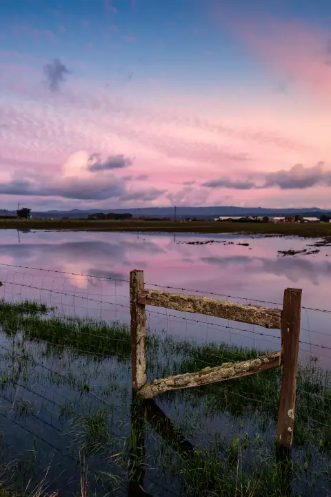 Fencing flood