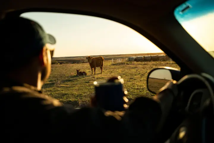 Rancher checking