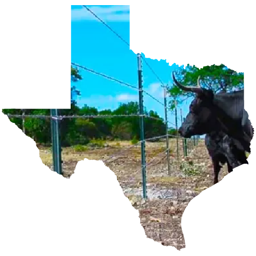 Texas cattle fencing
