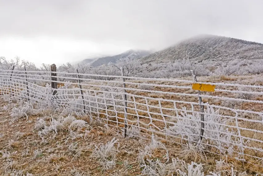 Texas ranch winter fence