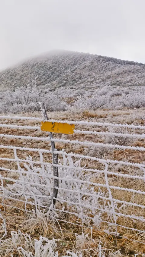 Texas winter fence