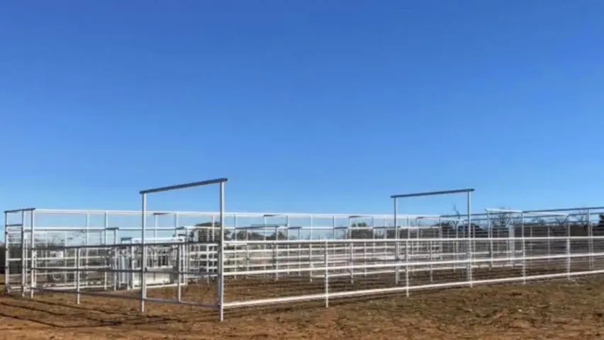 Cattle Fencing and Pen with Gates in Burnet County