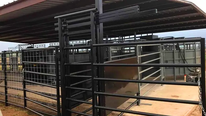 Black cattle pen