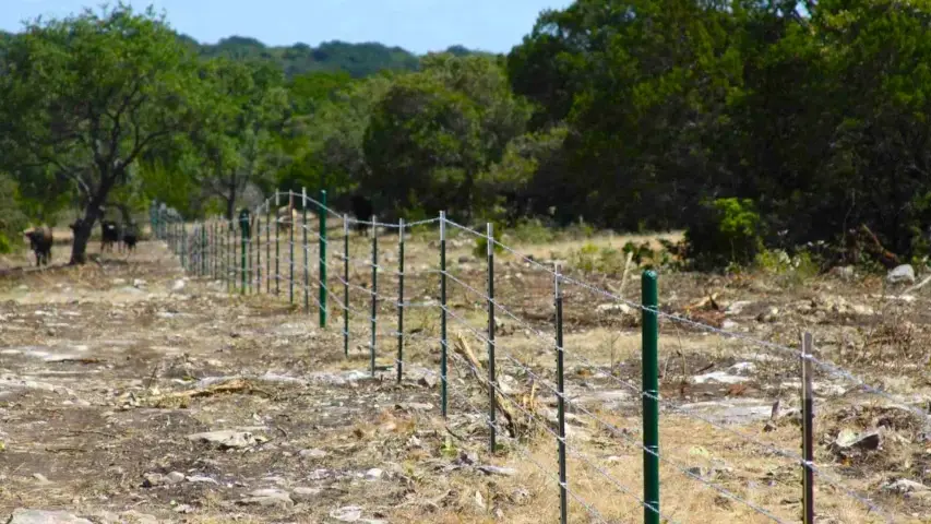 barbed wire fencing