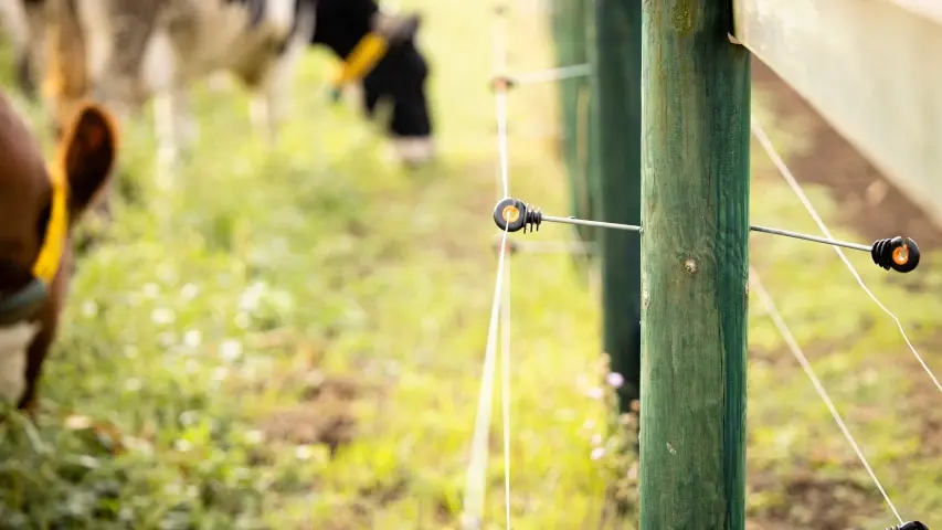 Electric fencing