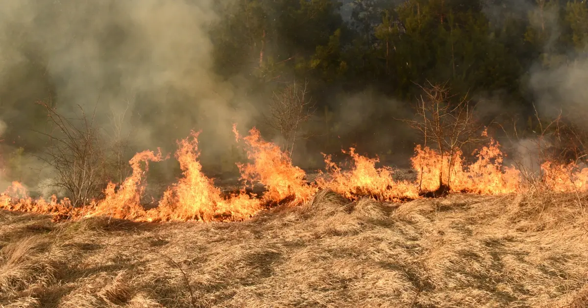 Land clearing fire prevention guide og