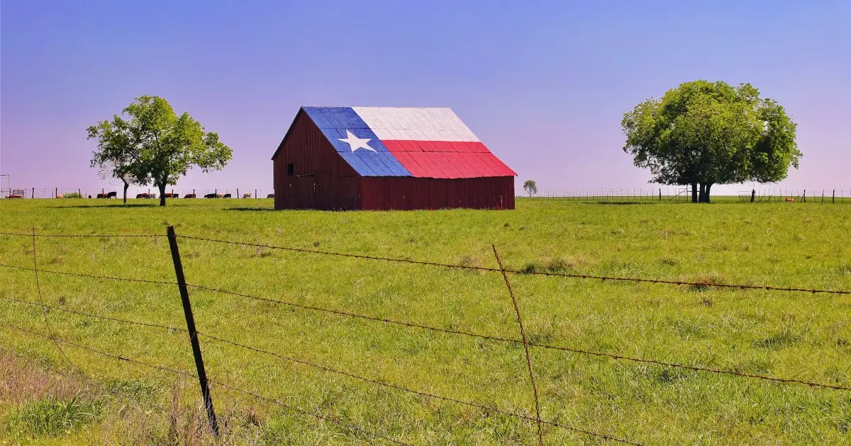 Texas ranch barbed wire